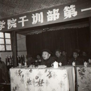 紺ͤ